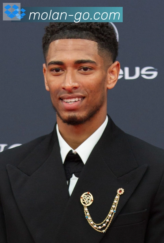 维尼修斯
